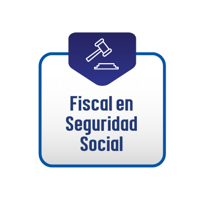 Iconos Comites fiscal